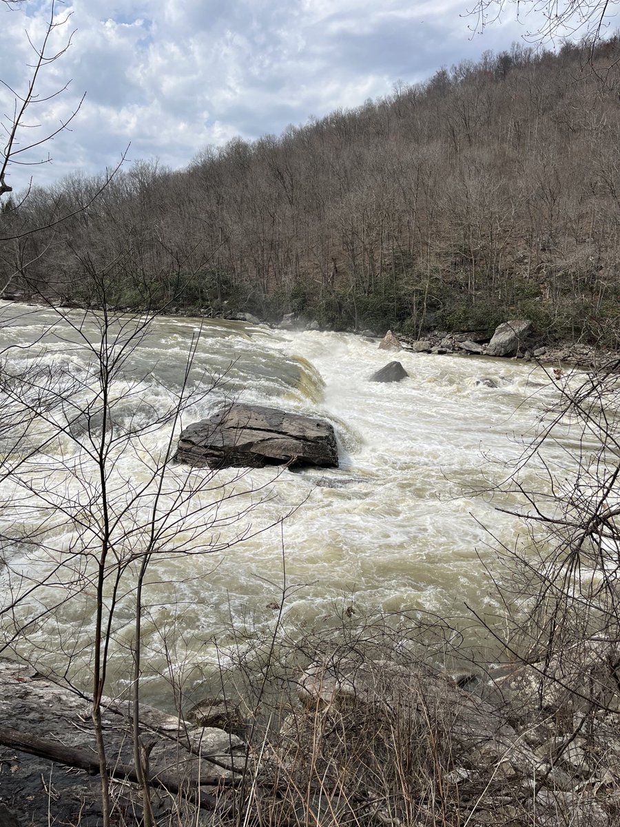 Fran Wagner (@fwgreco) on Twitter photo 