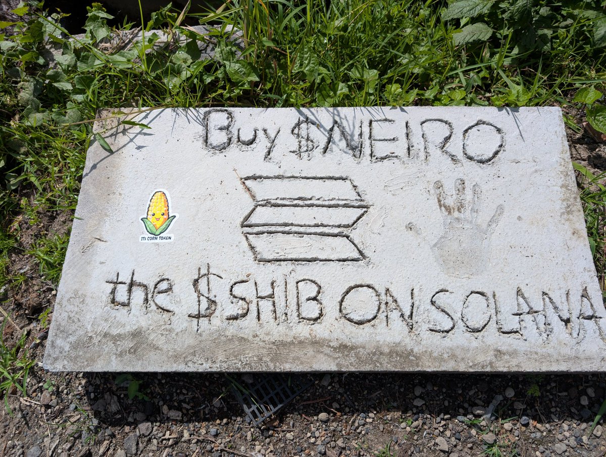 ITs CORN TOKEN 🇦🇺 tweet media