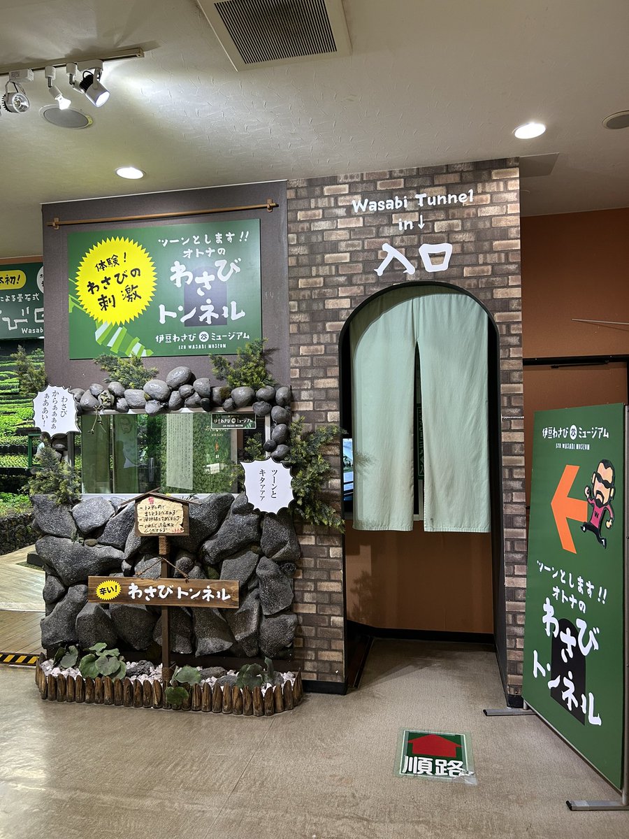 おはようございます!!!
昨日の雨が嘘のように快晴となります😙🎵

本日も元気いっぱいに営業中です！

是非！伊豆の老舗わさびミュージアムに
お越しください☺️✨

当店名物「わさびトンネル」が皆さんを
待ってまーす((((っ･ω･)

#わさび
#わさびミュージアム
#静岡グルメ
#山本食品