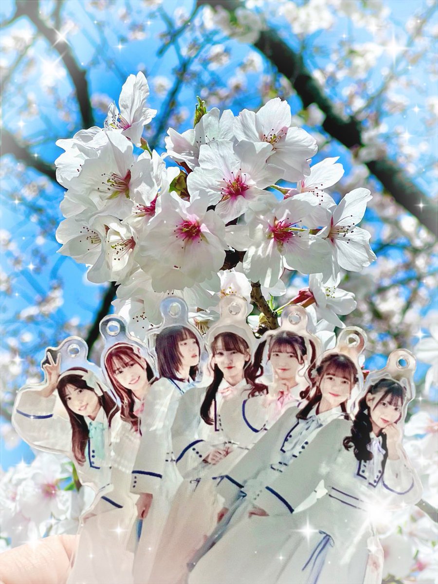 TKP ( たけちゃん ) (@Takechan_TKP) / Posts / X