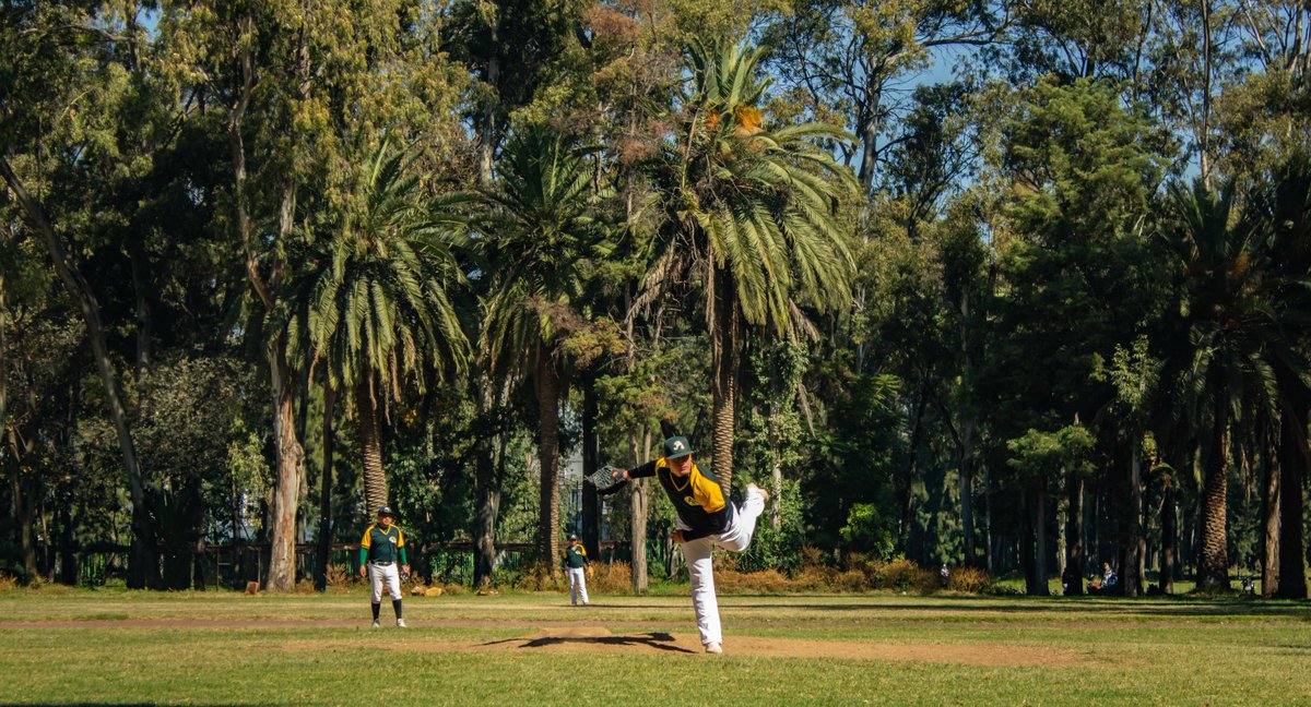 gatoperrodelsur's tweet photo. Mira @CamachoCirce hay béisbol en Xochimilco, en los 3 campos. No están en desuso, ni horribles, ni en abandono. 
Dile al que te está informando que te está mal informando que te informe bien. 
Mira @ClaraBrugadaM alguien en el sur te miente. #NoAlDespojo https://t.co/KtfjyHa3jf