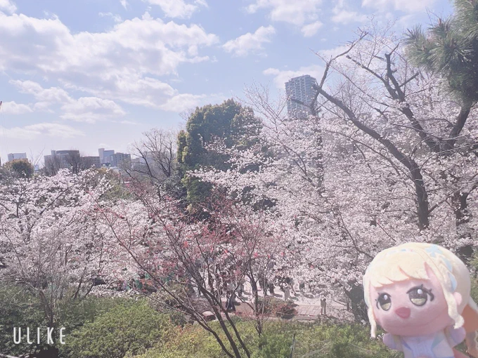 たのぴく 
