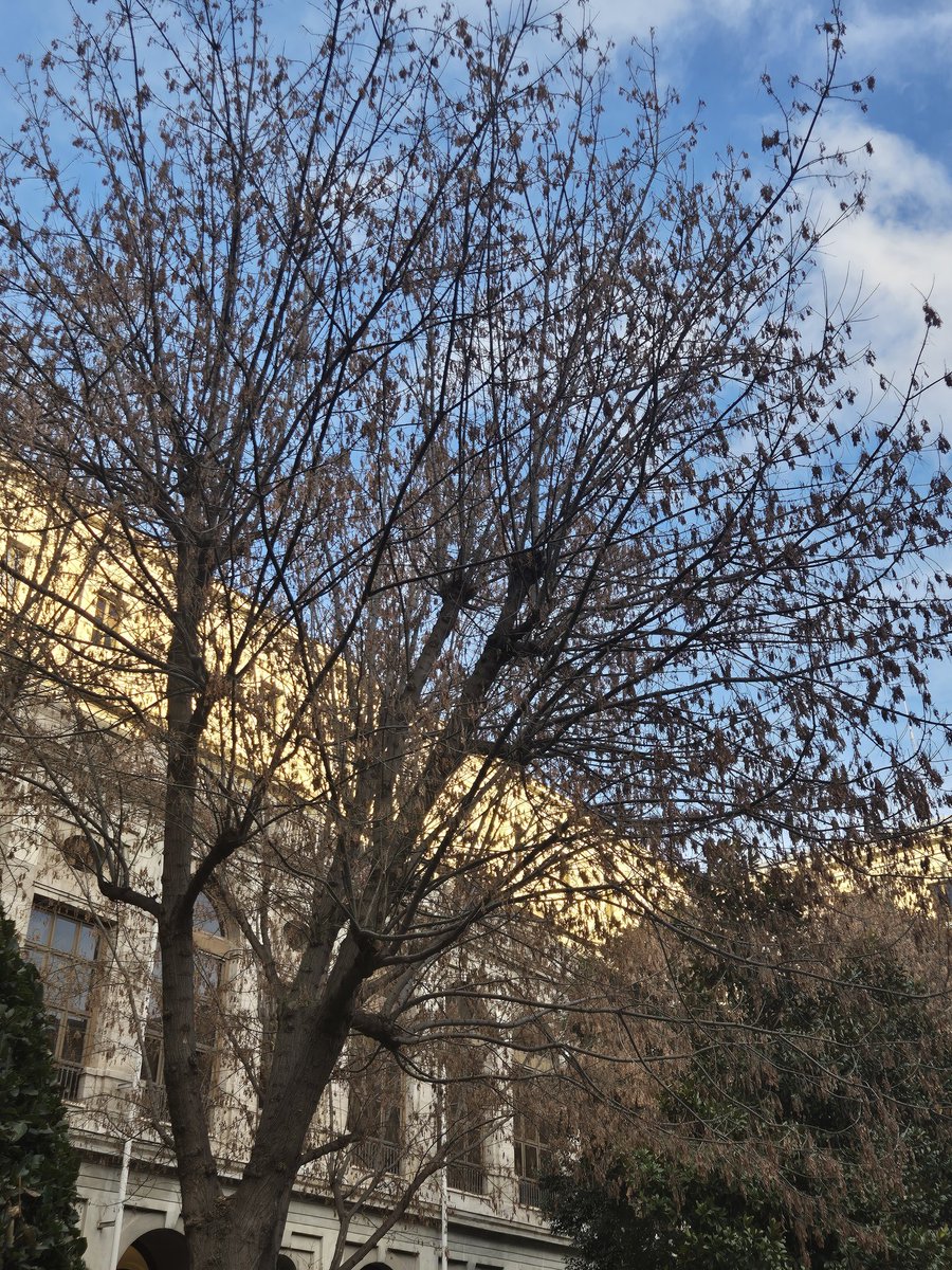 Andaba muy bajoneada y luego dije we, has visto cielos bien bonitos tan solo en este año, todo va a estar bien. ✨️💕