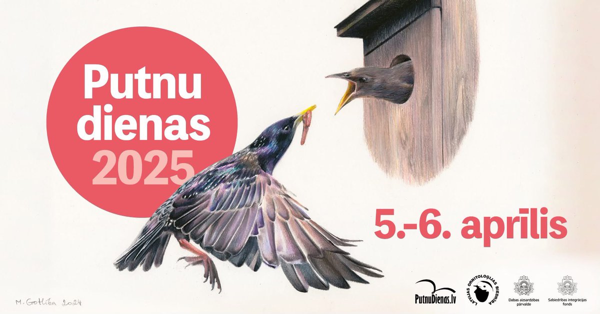 🐦‍⬛ Aicinām #putnudienas2025 laikā ne tikai vērot putnus, bet arī ziņot par saviem novērojumiem <a href="/Dabasdati/">Dabasdati.lv</a> ! Ieskaties notikumu kalendārā šeit: putnudienas.lv