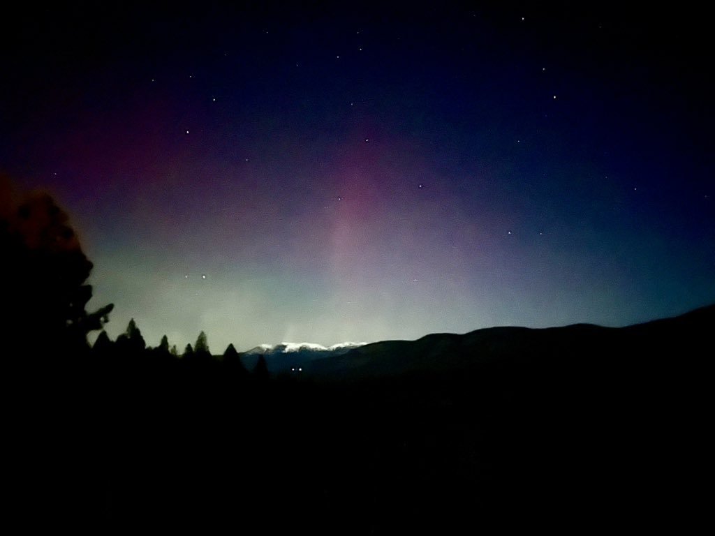 Michael Dubron tweet media