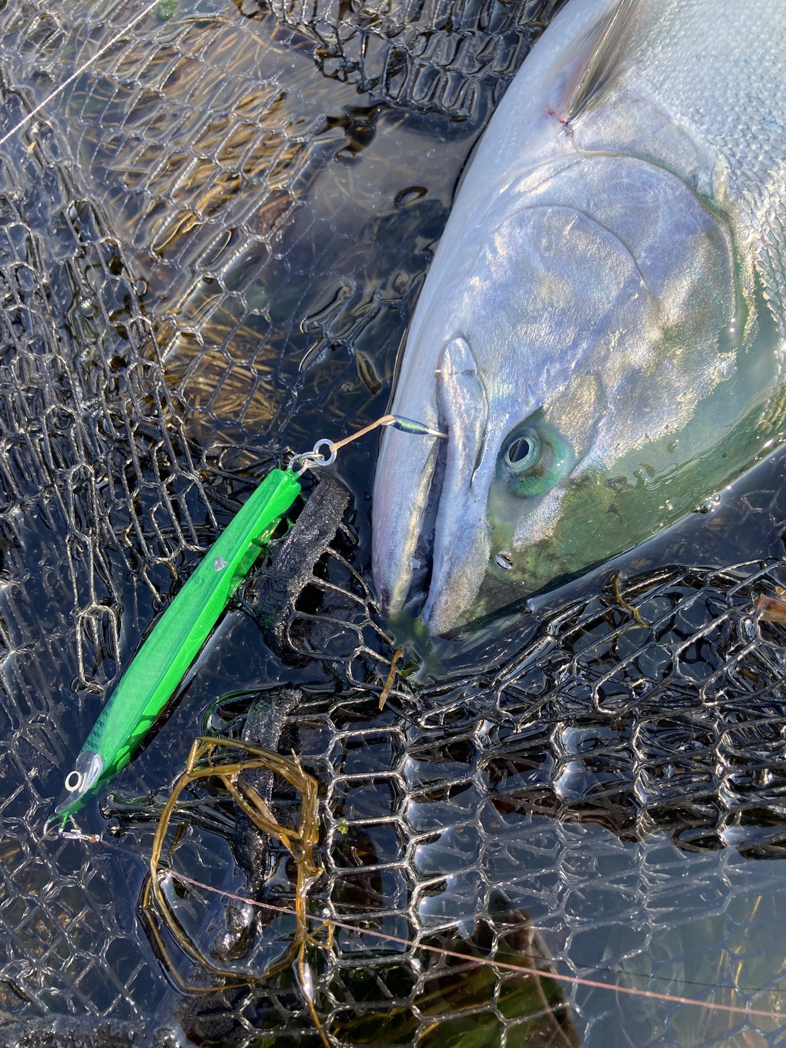 ITO Lures (@hirame__hunter) / X ITO Lures (@hirame__hunter) / X