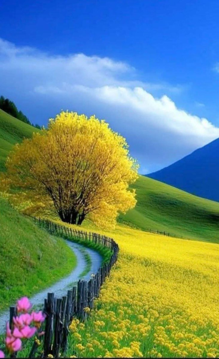 Beautiful Spring 💗