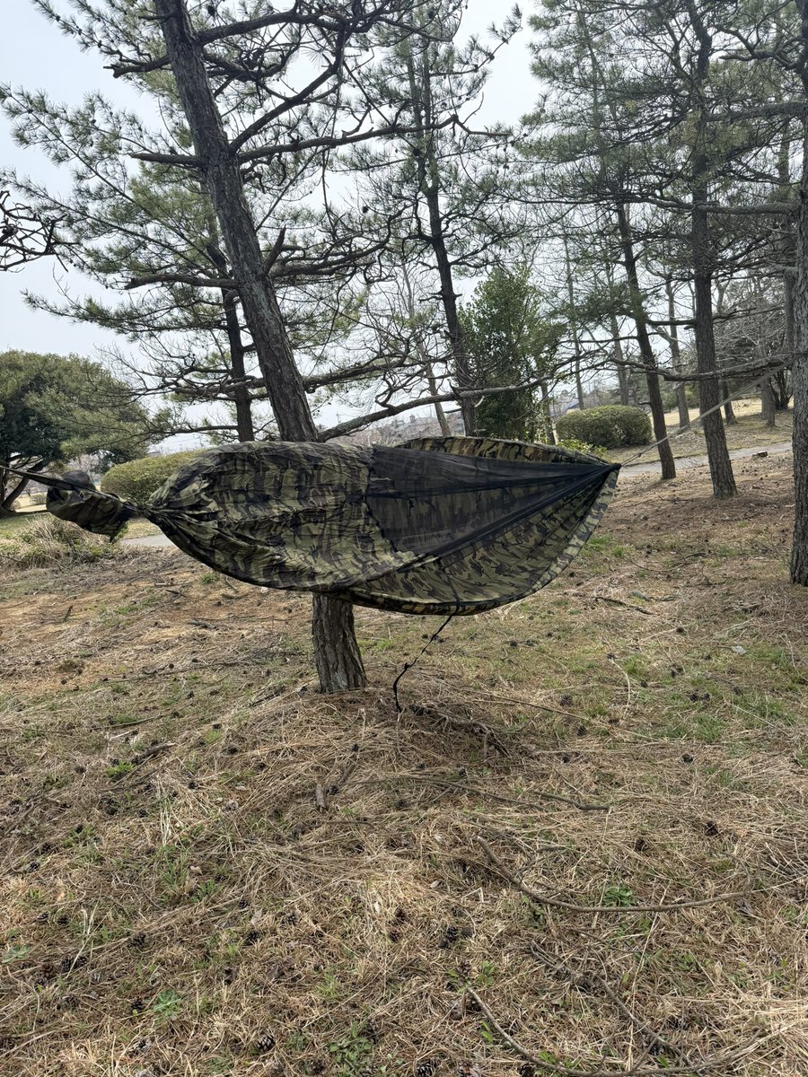 L0veT0m0's tweet photo. ハンモックの試し張り‼️
蚊帳も付いてるから大丈夫やな🤭
#BUSHMEN
#皆んなで仲良くハンモッカー https://t.co/iRnsLNHSCh