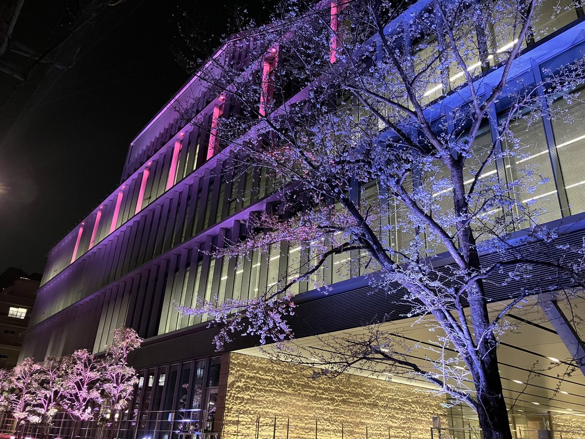 スタンレー電気株式会社の本社社屋(中目黒)で春の訪れを祝うライト