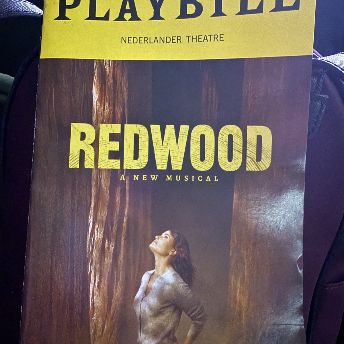 🎶 Pam 🎶 tweet media