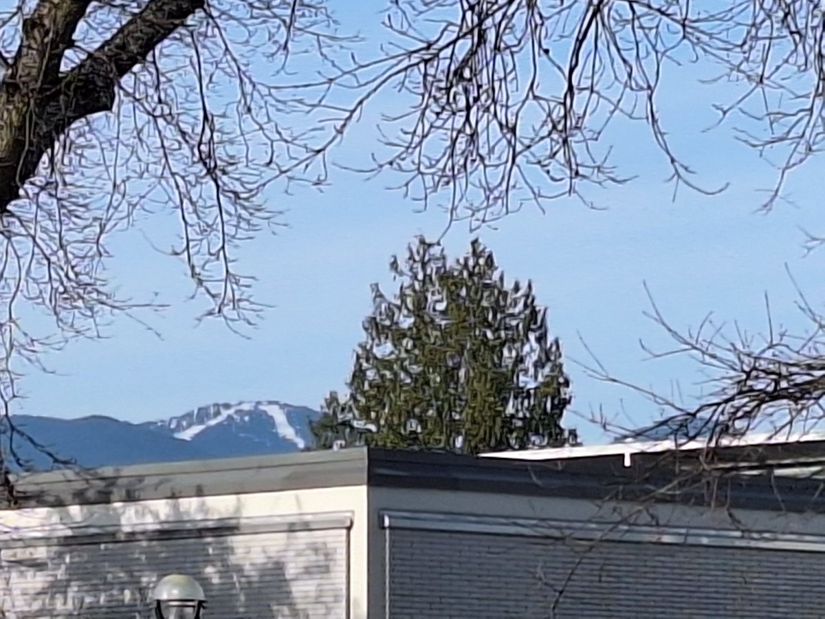 docsparker's tweet image. Clear mountain views @UBC today.