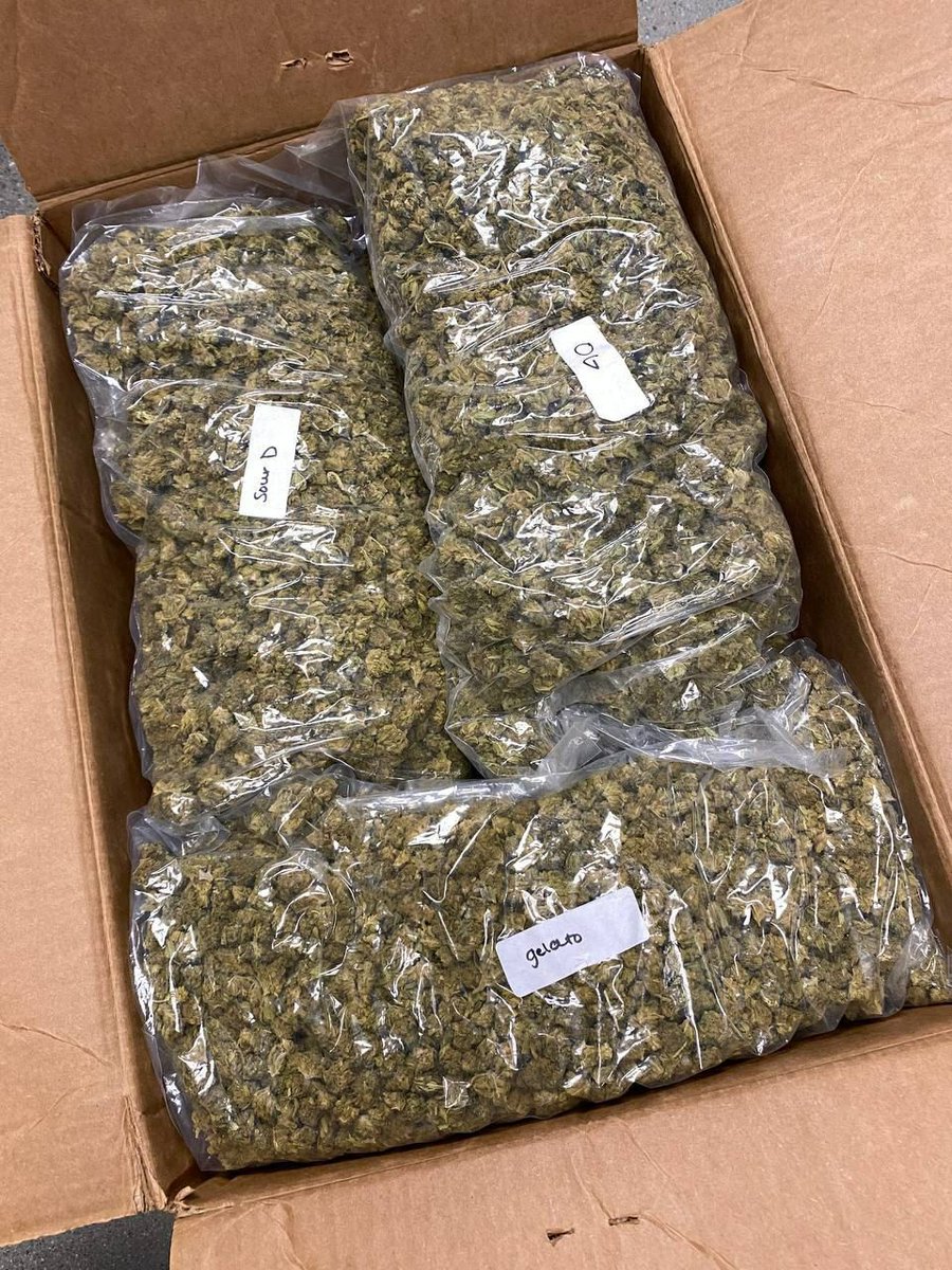 MackGreat7034's tweet photo. 15lbs of low ticket smalls - tap in for the DEAL OF THE WEEK! 🫡🫡 $1300 for a pack tappin @Homechanne4 https://t.co/JVYUi4JYiA