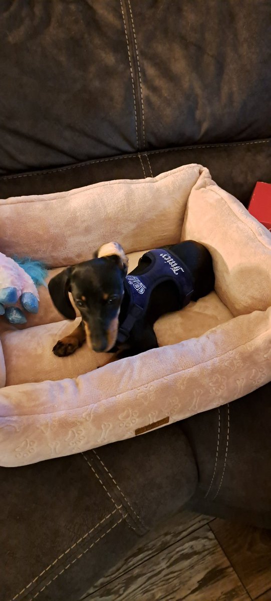 New addition.