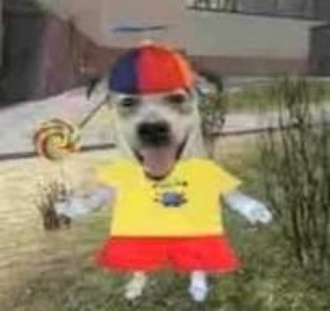 eu e meu vício de falar “ebaaaa” pra qualquer situação faz eu me sentir assim