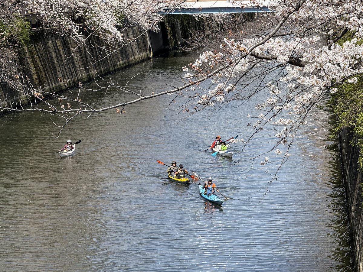 Takuo Suzuki tweet media