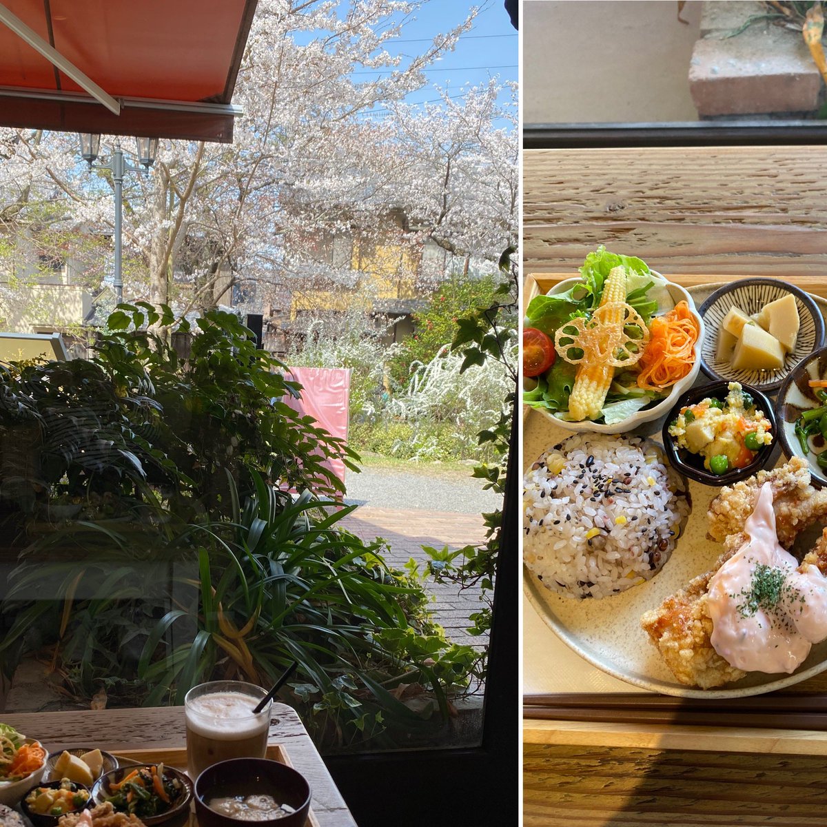 tokka09's tweet photo. ここは天国か？
#greenterrace
#哲学の道 https://t.co/U2pLpt8s5u