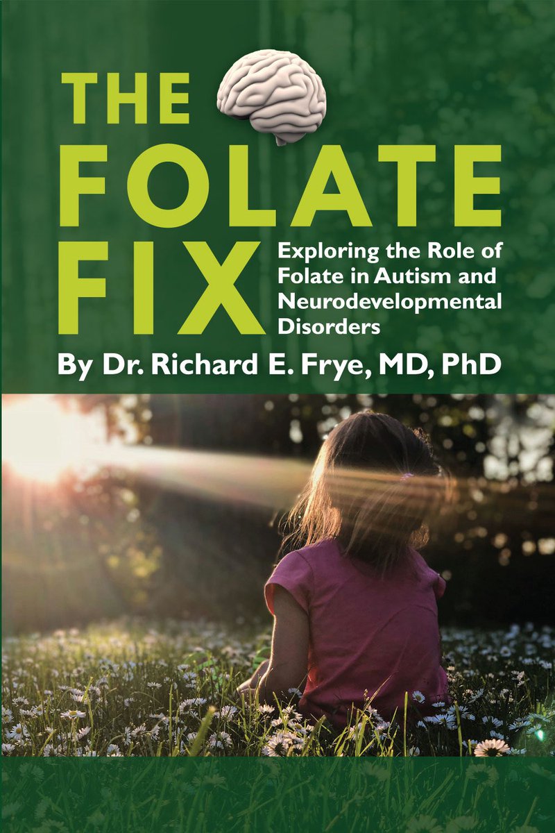 raisingarrows5's tweet image. My daughter’s story is in Chapter 6 #AutismAwarenessMonth #CerebralFolateDeficiency #CFD #AutismResearch #Leucovorin