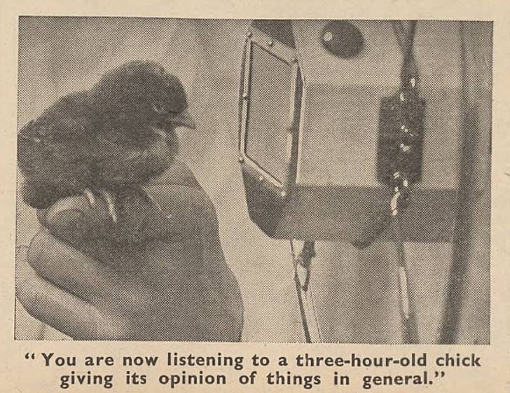 yesterdaysprint's tweet photo. Good Morning by the Daily Mirror, England, April 4, 1944 https://t.co/BmIsQGZ6IL