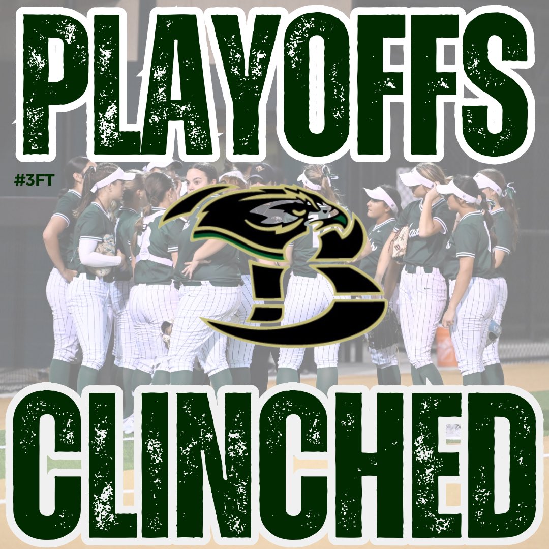 Birdville Softball tweet media