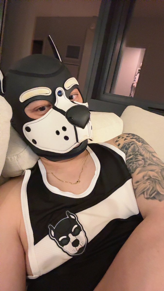 PupKai520's tweet photo. Chilling at home with the dog. Love this new rug https://t.co/m9tMOOEmot