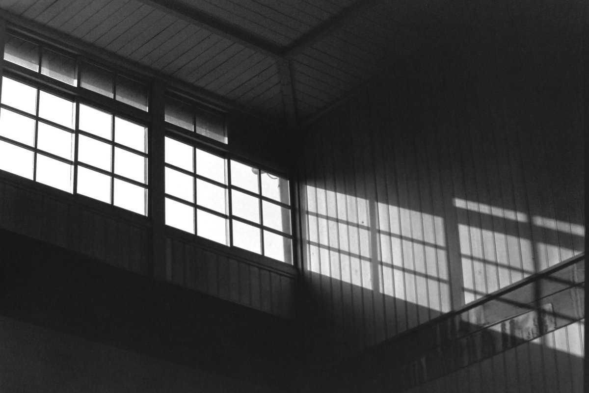 #Canon  #Ilford #HP5