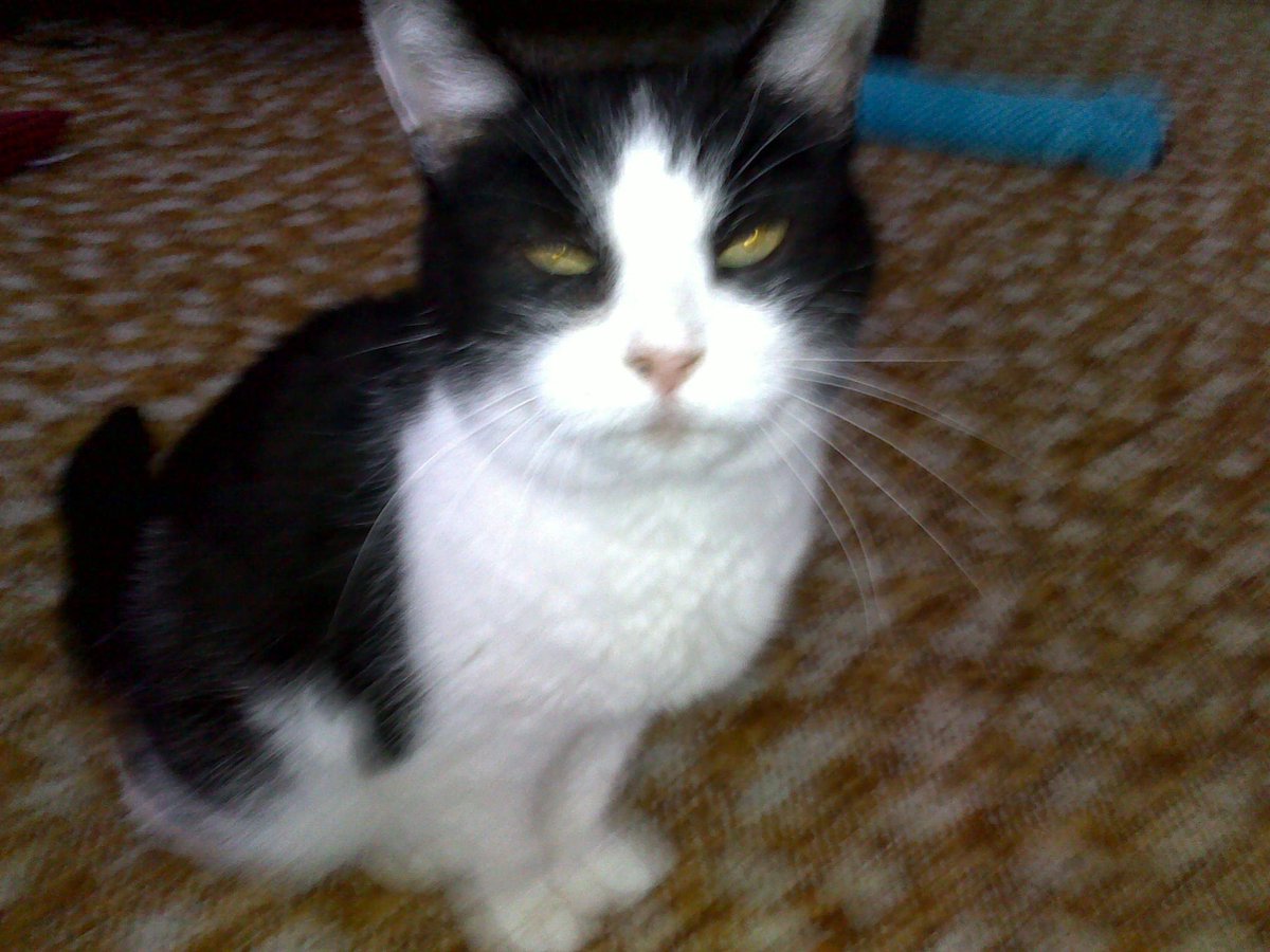 Shay Nagle tweet media