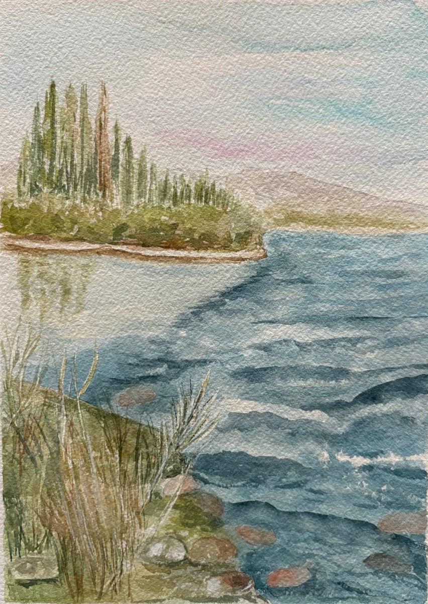 Soulexplorer6's tweet image. 𝓐 𝓶𝓪𝓳𝓮𝓼𝓽𝓲𝓬 𝓻𝓲𝓿𝓮𝓻

My #watercolor depiction of River Caleufu, in Patagonia, Argentina. It is a beautiful place to camp and fly fish. 

#art #paining #nature