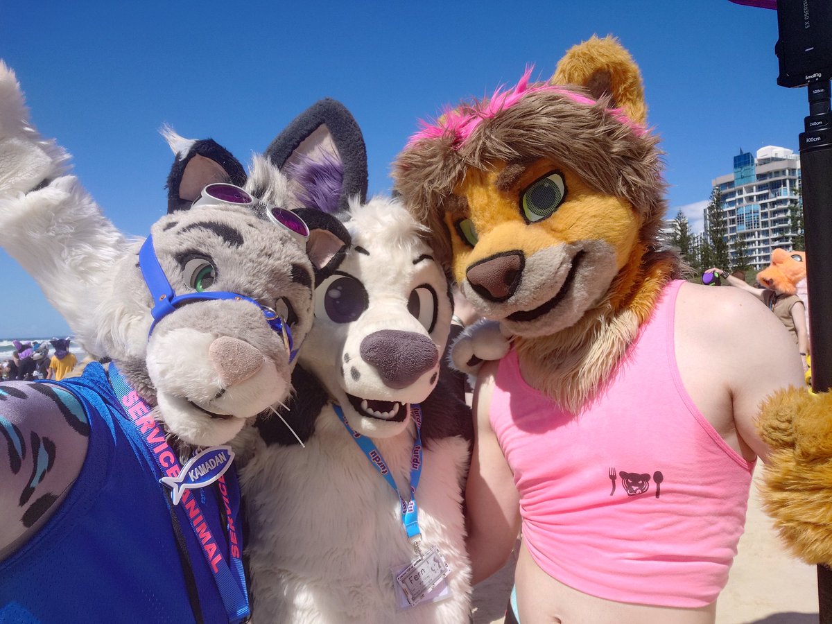 SnowSpottycats's tweet photo. What an absolutely stunning day for the FurDU beach walk~

Featuring 🩷🦁 bf @CoutzyCarter, best🐶 Fern, Drifter, @Atlas_JAB, @Paskhowl &amp; Dust

#Fursuit #FurDU2025 https://t.co/i2YVGz2rPu