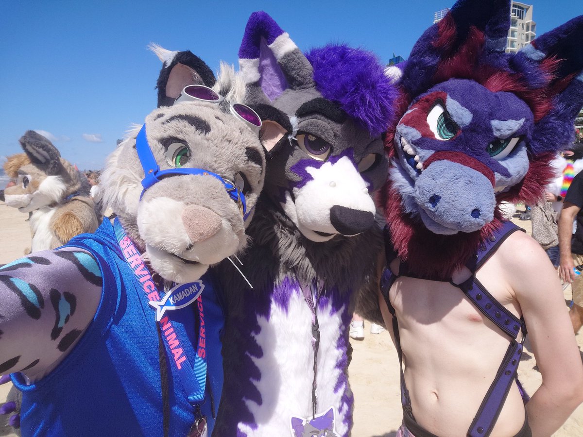 SnowSpottycats's tweet photo. What an absolutely stunning day for the FurDU beach walk~

Featuring 🩷🦁 bf @CoutzyCarter, best🐶 Fern, Drifter, @Atlas_JAB, @Paskhowl &amp; Dust

#Fursuit #FurDU2025 https://t.co/i2YVGz2rPu