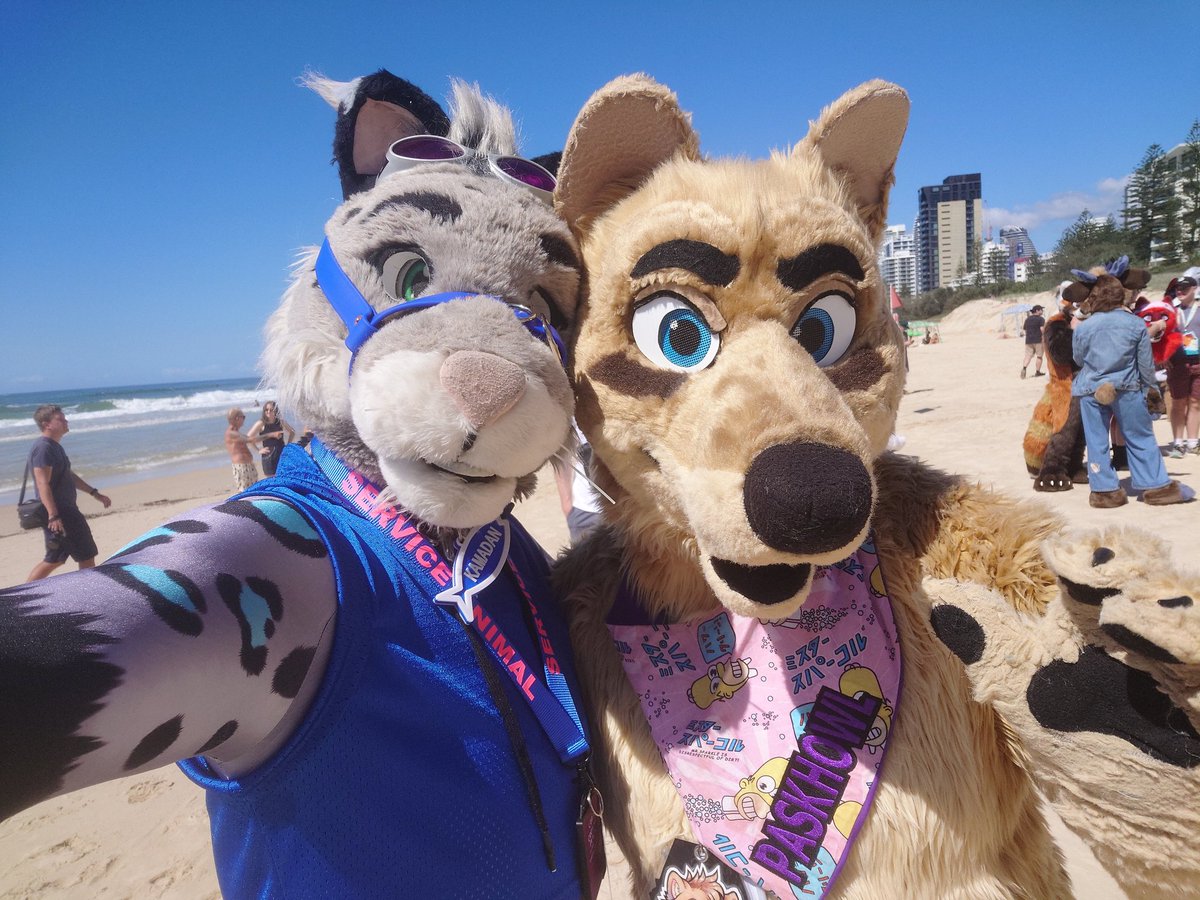 SnowSpottycats's tweet photo. What an absolutely stunning day for the FurDU beach walk~

Featuring 🩷🦁 bf @CoutzyCarter, best🐶 Fern, Drifter, @Atlas_JAB, @Paskhowl &amp; Dust

#Fursuit #FurDU2025 https://t.co/i2YVGz2rPu