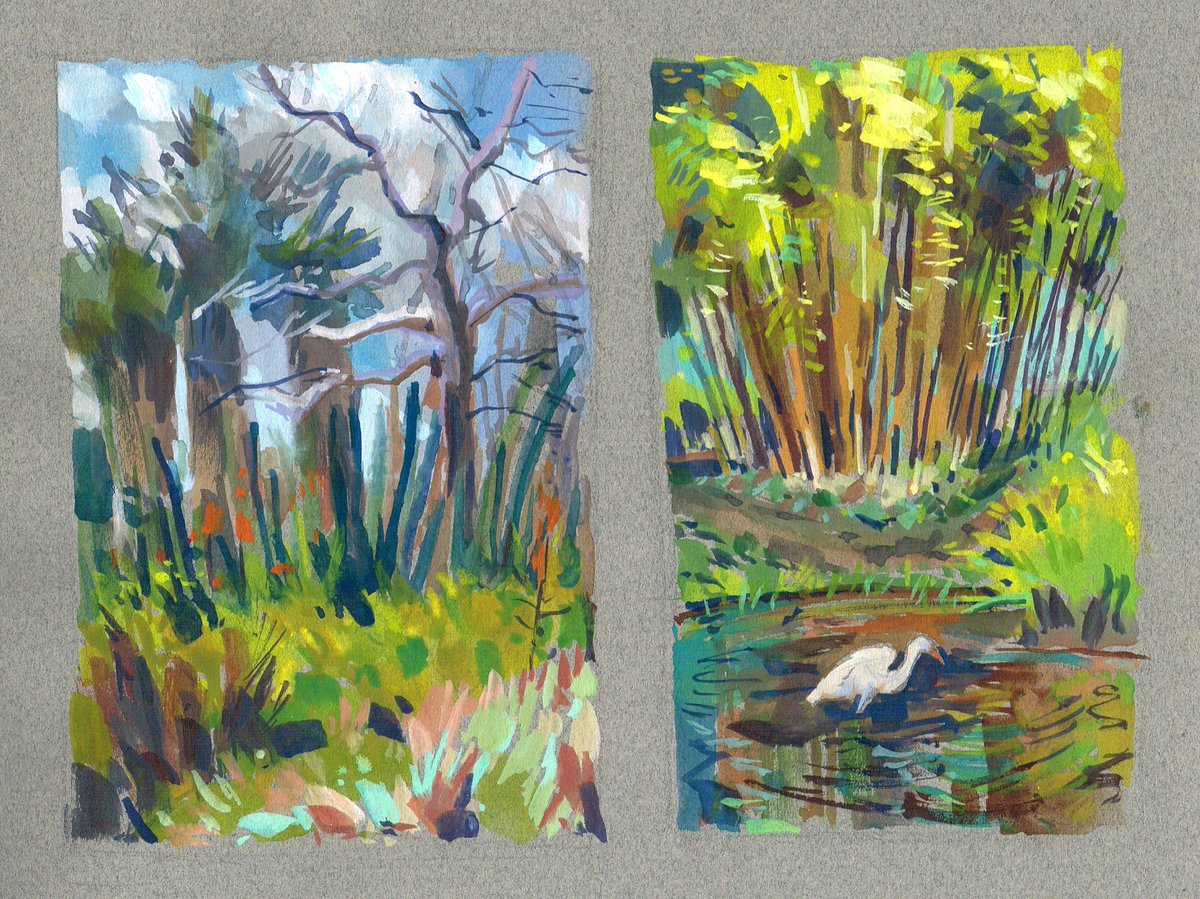 garygeraths's tweet image. Out at Huntington Gardens in sunny Southern California wandering around and sketckin’ with gouache and colored pencil in various sketchbooks. If you like what you see hit that “follow” button if you get the chance. More work and tutorials   on the way.