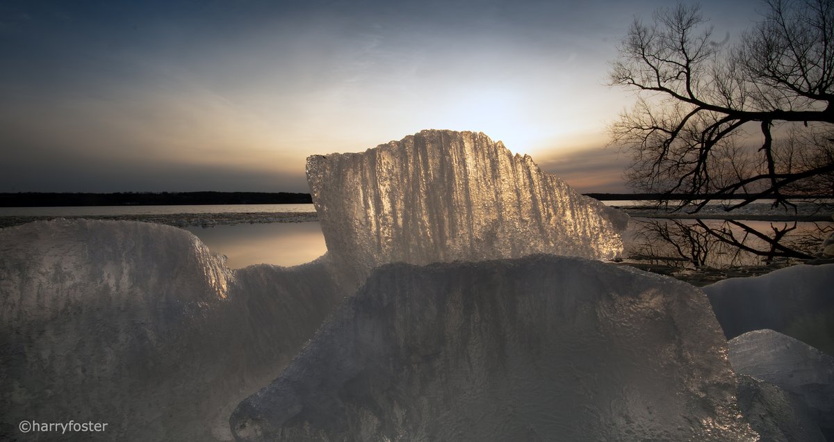 Harry Foster tweet media