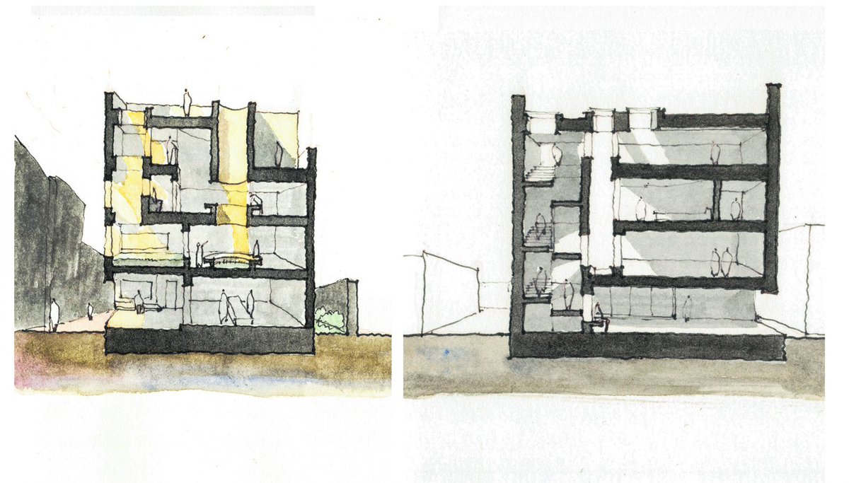 cross &amp; longitudinal section ^^