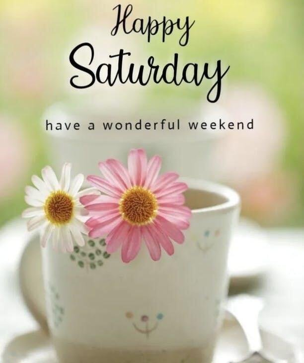 DimpleSing68041's tweet photo. #SaturdayMorning https://t.co/5K44FrAjap