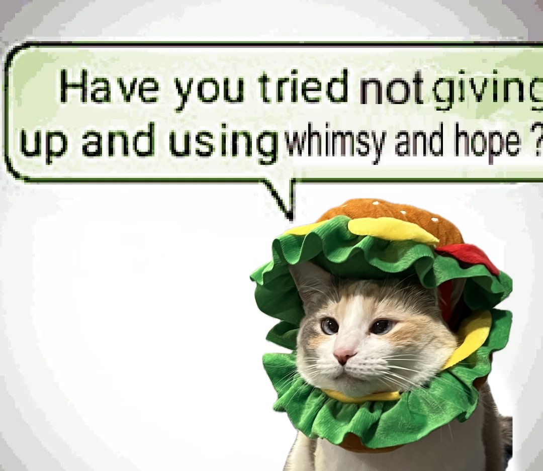 Panko A. Cat’s Mom (@fatfatpankocat) on Twitter photo 