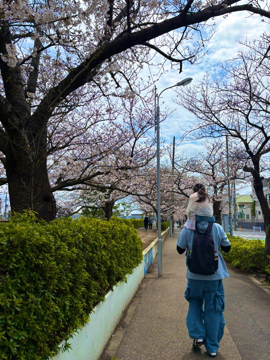 risa_ddcdc's tweet photo. 今日は桜散歩🌸 https://t.co/tQhLhd9PEC
