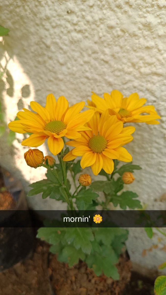 #Assalamu_Alaikum______________

"Each morning we are born again. What we do today is what matters most."

GREAT MORNINGGGGGG 🌷