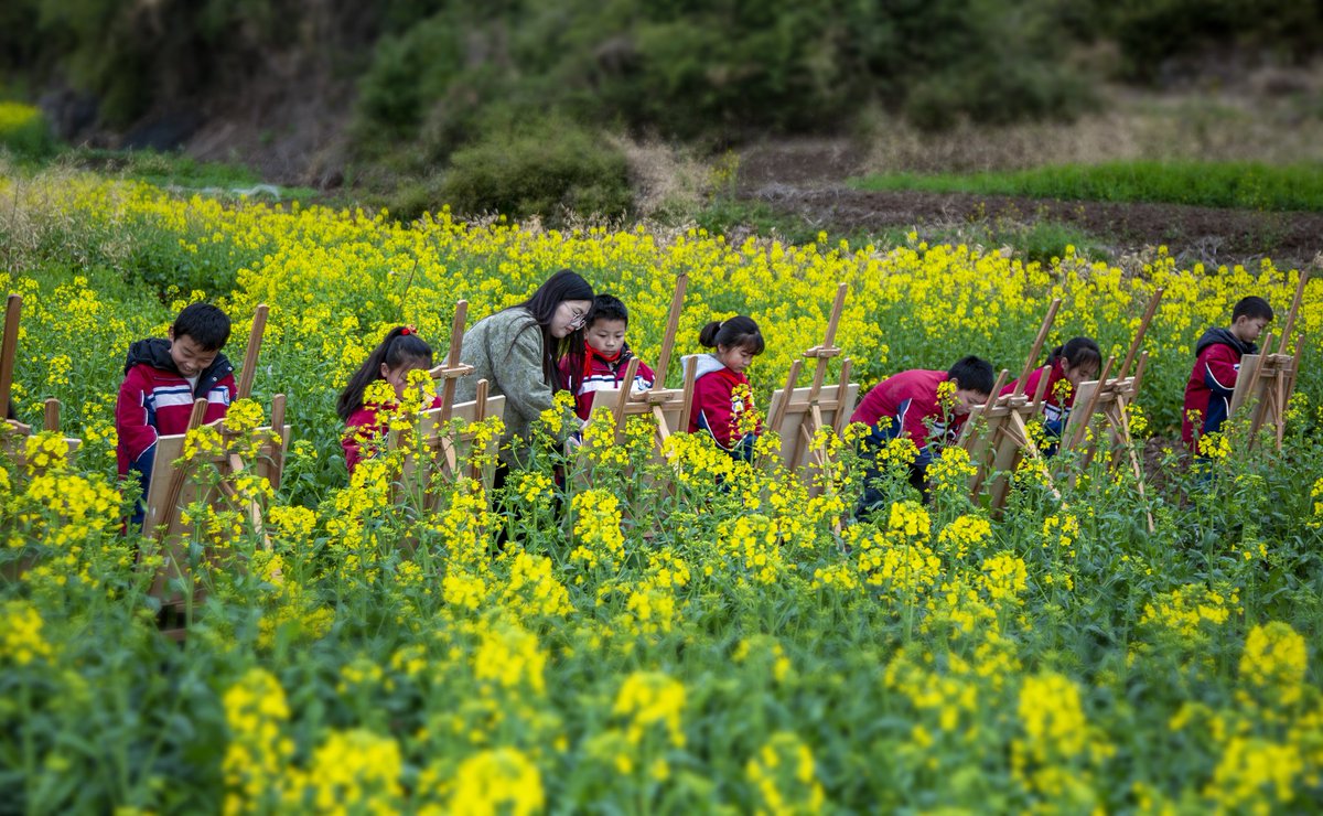 GuzhenC37467's tweet photo. 👏👏👏What does spring look like? Cotton-candy clouds, dancing kites in the sky, and vibrant seas of blossoms. Look! Children are capturing the magic of spring with their paintbrushes
#SpringinAnhui #AnhuiTravel #GoodLifeinAnhui https://t.co/hGX1V50lwJ