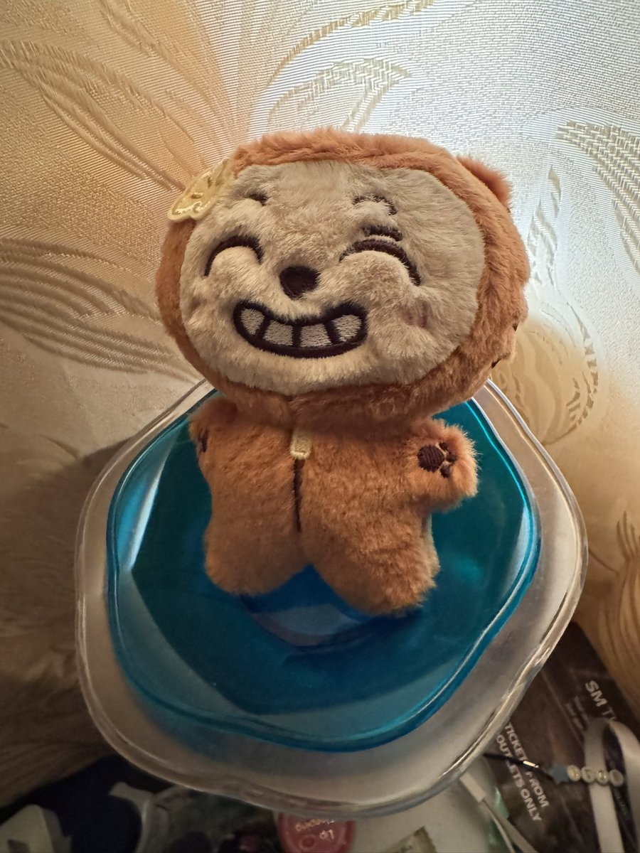 lovesikzone's tweet photo. rangkomi is finally home!! thank you for being such an accommodating seller, @SamYooki 💙💙💙

he looks so much like hyunsik im going to cry!!! https://t.co/XmqthH5sDG