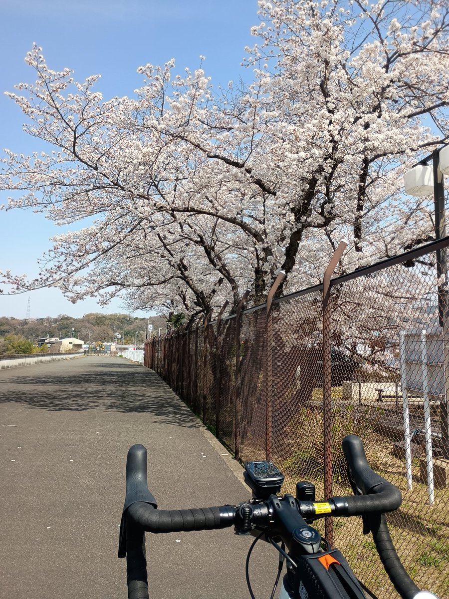 pironya's tweet photo. もう少しだな https://t.co/5JDUwFPOnS