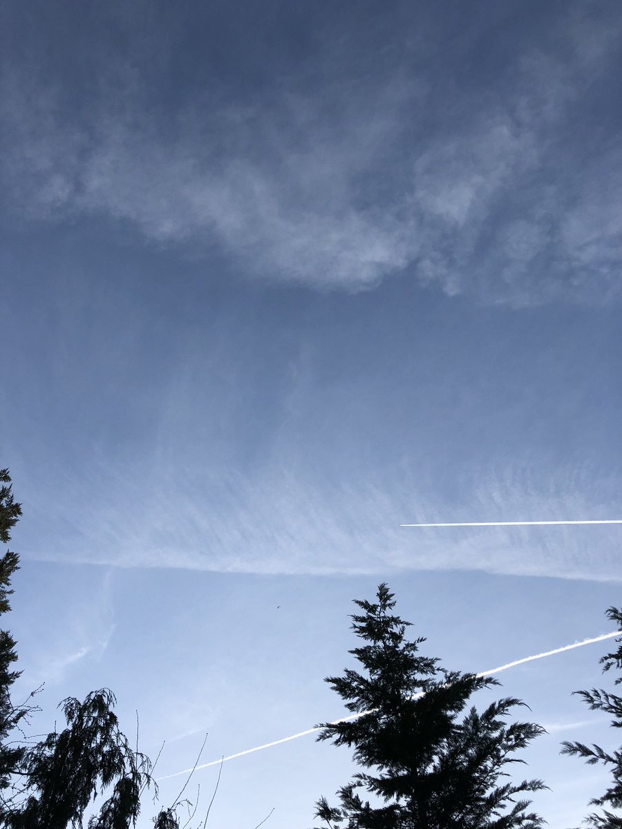 LeeDetto's tweet photo. @Chemtrail101 @SecKennedy @RobertKennedyJr @NicoleShanahan @POTUS @realDonaldTrump SW Portland Oregon, Chemtrails from spring of 2018 #EndGeoEngineering #GeoEngineering #SRM #SAI #ChemTrails https://t.co/smTgWvyMRt