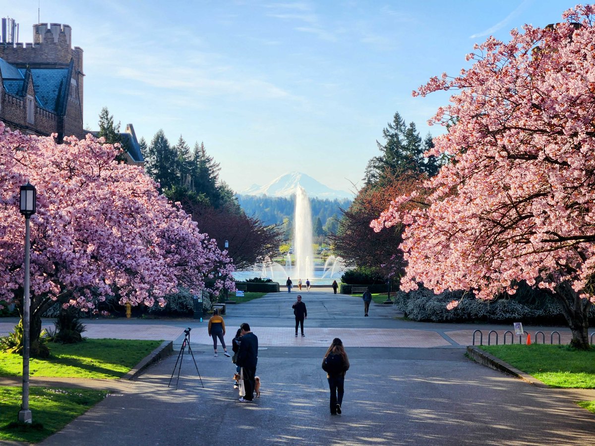 Eleftheria Roumeli (@eroumeli) on Twitter photo Under the #cherryblossoms, surrounded by the people who make this work matter! Happy Spring #huskies! <a href="/uwcherryblossom/">UW Cherry Blossoms</a> Under the #cherryblossoms, surrounded by the people who make this work matter! Happy Spring #huskies! <a href="/uwcherryblossom/">UW Cherry Blossoms</a>