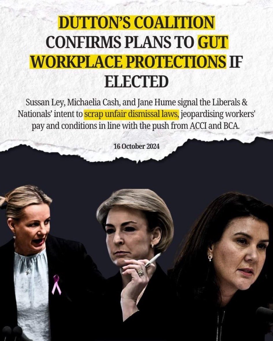 CaraMia200's tweet photo. In further capitulation to #Trump, #DuttonLiar repeated lie worker productivity improved from the office: “I don’t think it’s unreasonable that pple, like in many other workplaces,are asked to go back to work for face-to-face contact.”
Dont believe back tracking! #Auspol #WFHome https://t.co/eOCp7DB5EW