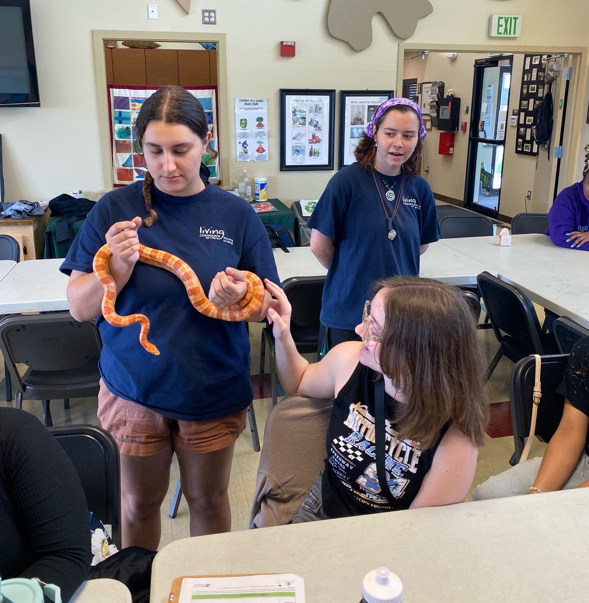 BaltCityBRAVE's tweet photo. Our BRAVE biology students explored science in action at Masonville Cove during a Meaningful Watershed Educational Experience! Real-world learning, environmental discovery, and BRAVE curiosity in full effect. #BRAVEstudents #MWEE #ScienceOutside #BmoreVirtual @BaltCitySchools https://t.co/zRA9xNf2tg