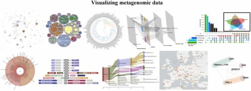 eDNA_startup's tweet photo. Visualizing metagenomic and metatranscriptomic data: A comprehensive review

https://t.co/xvCqZmMO16 https://t.co/aEBvQ9HnWz