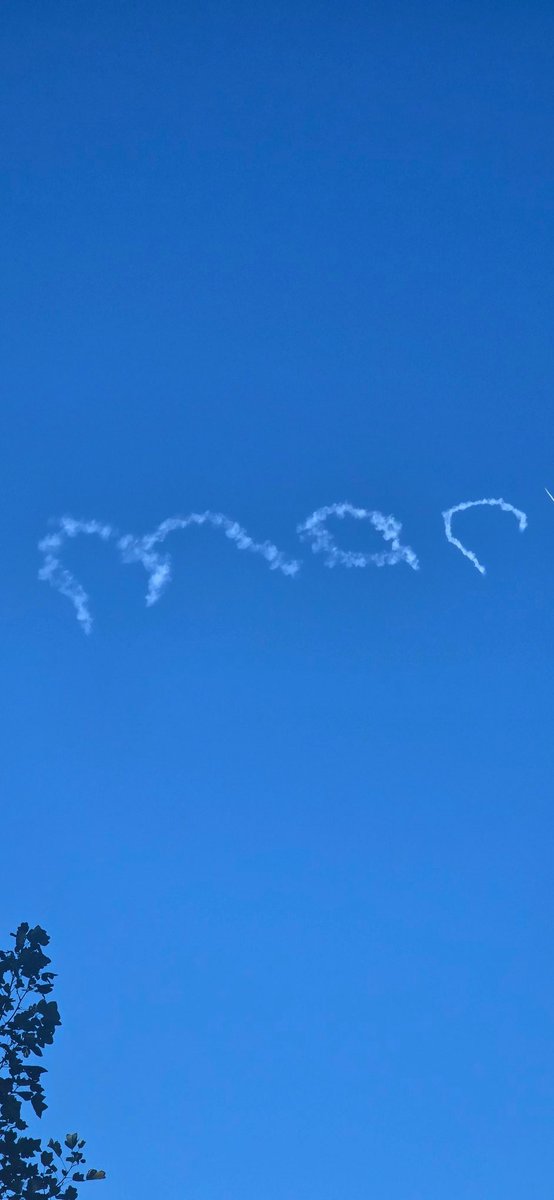 Mar Mar 🦦 (@marmar182_rs) on Twitter photo 