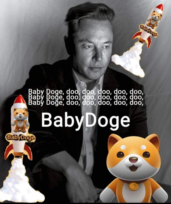 You remember this twitt from <a href="/elonmusk/">Elon Musk</a> ?

Baby Doge, doo, doo, doo, doo, doo
Baby Doge, doo, doo, doo, doo, doo
Baby Doge, doo, doo, doo, doo, doo
Baby Doge 
#BABYDOGE