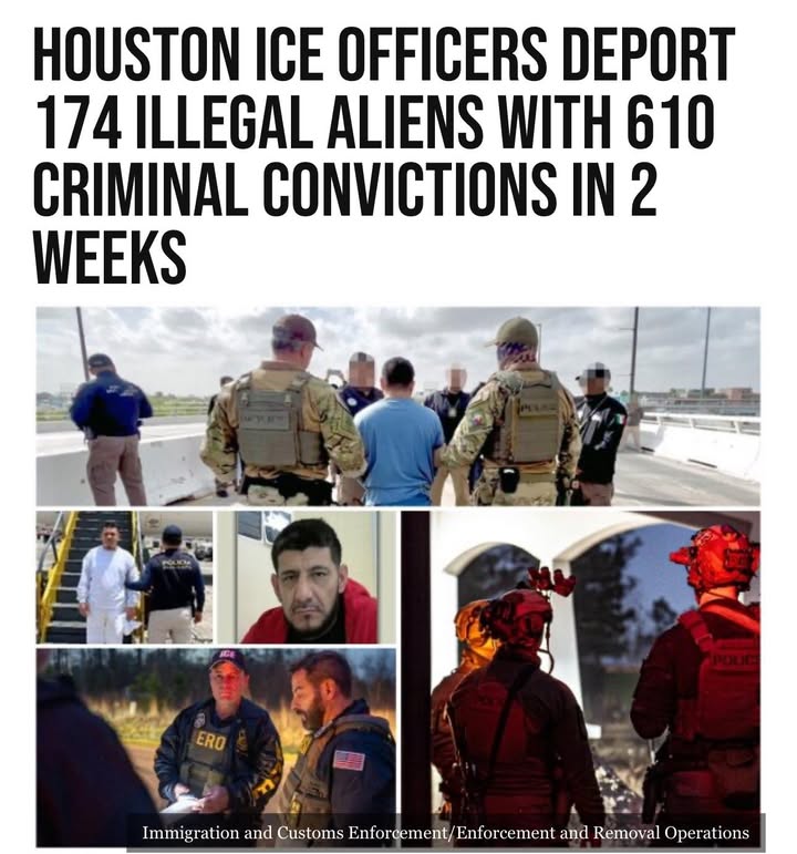 Breitbart News tweet media