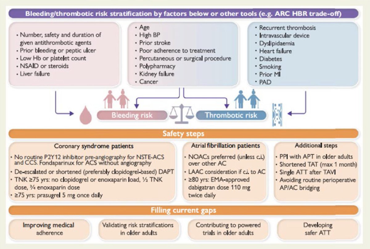 European Society of Cardiology Journals (@esc_journals) on Twitter photo ⚠️ How do we balance #bleeding & #thrombosis in patients w/ congenital bleeding disorders? 💊
New ESC consensus document in #EHJPharmacotherapy expands guidance on antithrombotic therapy in these complex cases
Read more ow.ly/uq9450Vt2um
<a href="/EditorEHJCVP/">EHJ-CVP Editor-in-Chief</a> <a href="/FeliceGragnano/">Felice Gragnano</a> ⚠️ How do we balance #bleeding & #thrombosis in patients w/ congenital bleeding disorders? 💊
New ESC consensus document in #EHJPharmacotherapy expands guidance on antithrombotic therapy in these complex cases
Read more ow.ly/uq9450Vt2um
<a href="/EditorEHJCVP/">EHJ-CVP Editor-in-Chief</a> <a href="/FeliceGragnano/">Felice Gragnano</a>
