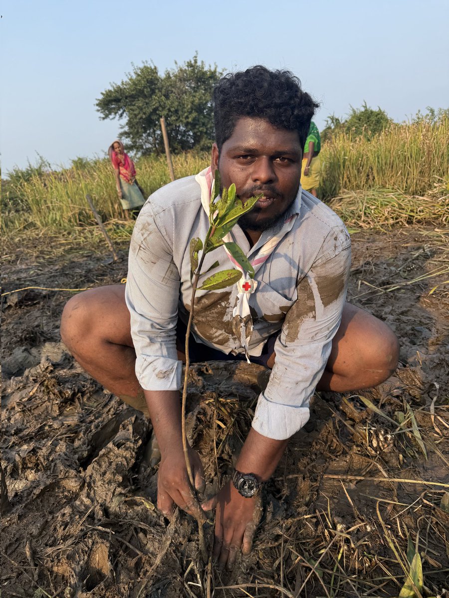 Biswajeet Samal 🇮🇳 🌳 🌎 (@itsbiswajeet) on Twitter photo MANGROVE PLANTATION DRIVE on the eve of "Utkal Dibas"! 🎉
Let's come together to save our precious mangrove forests! 🙌
Join us in making a difference! 🌟
#MangrovePlantation #UtkalDivas #SattvicSoul #YRCParadeepCollege
<a href="/CollectorJspur/">DM_Jagatsinghpur</a> <a href="/dfomangrovefdwl/">DFO MANGROVE ODISHA</a> MANGROVE PLANTATION DRIVE on the eve of "Utkal Dibas"! 🎉
Let's come together to save our precious mangrove forests! 🙌
Join us in making a difference! 🌟
#MangrovePlantation #UtkalDivas #SattvicSoul #YRCParadeepCollege
<a href="/CollectorJspur/">DM_Jagatsinghpur</a> <a href="/dfomangrovefdwl/">DFO MANGROVE ODISHA</a>